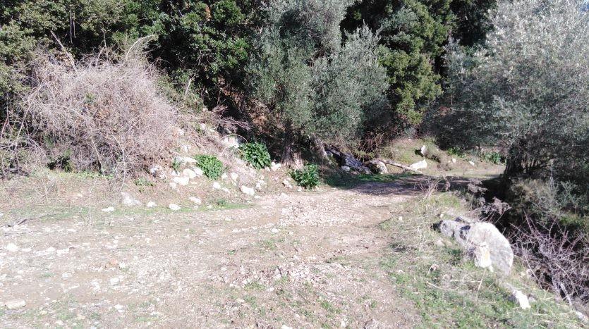 Αγροτεμάχια 14.000 τ.μ. πρός πώληση, Ν. Ρεθύμνου, Σίβριτος