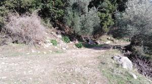 Αγροτεμάχια 14.000 τ.μ. για πώληση, Ν. Ρεθύμνου, Σίβριτος-thumb-4