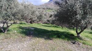 Αγροτεμάχια 14.000 τ.μ. για πώληση, Ν. Ρεθύμνου, Σίβριτος-thumb-5
