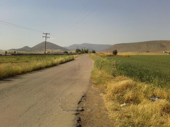 Αγροτεμάχια 40.000 τ.μ. για πώληση, Βοιωτία, Θήβα