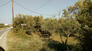 Οικόπεδο 1.500 τ.μ. για πώληση
