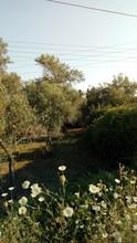 Οικόπεδο 1.500 τ.μ. για πώληση, Ν. Κέρκυρας, Κέρκυρα-thumb-2
