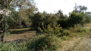 Οικόπεδο 1.500 τ.μ. για πώληση, Ν. Κέρκυρας, Κέρκυρα-thumb-3
