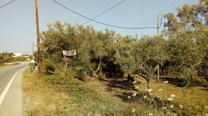 Οικόπεδο 1.500 τ.μ. για πώληση, Ν. Κέρκυρας, Κέρκυρα-thumb-6