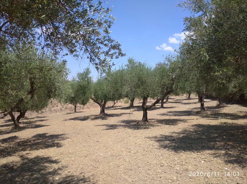 Land plot 9.830 sqm for sale