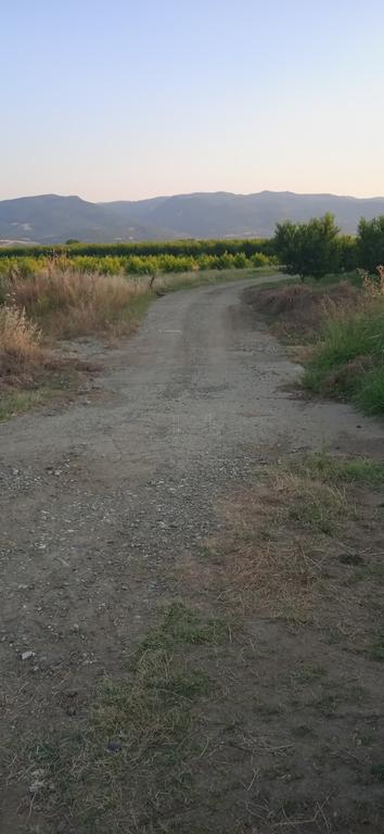 Αγροτεμάχια 17.000 τ.μ. πρός πώληση, Ημαθία, Μελίκη