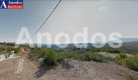 Οικόπεδο 491 τ.μ. για πώληση
