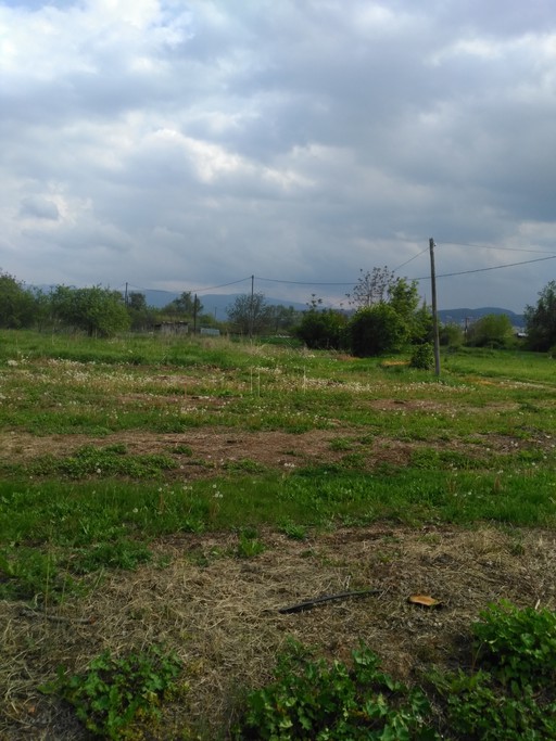 Αγροτεμάχια 4.000 τ.μ. για πώληση