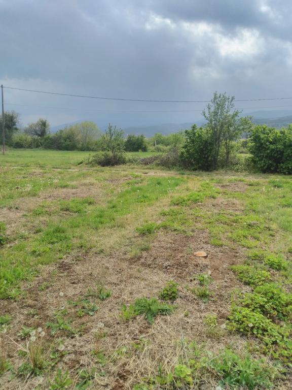 Αγροτεμάχια 4.000 τ.μ. πρός πώληση, Ημαθία, Βέροια