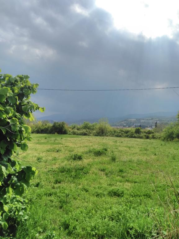 Αγροτεμάχια 4.000 τ.μ. πρός πώληση, Ημαθία, Βέροια