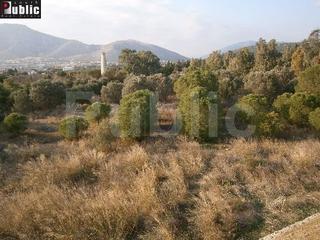 Μεζονέτα 450 τ.μ. για πώληση