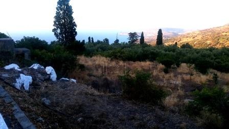 Land plot 388sqm for sale-Siteia » Rousa Ekklisia