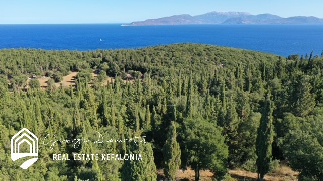 Αγροτεμάχια 3.761 τ.μ. για πώληση