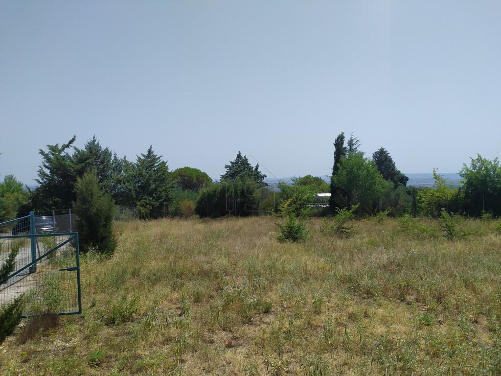 Αγροτεμάχια 1.250 τ.μ. προς πώληση, Παλαιά Μορσίνη