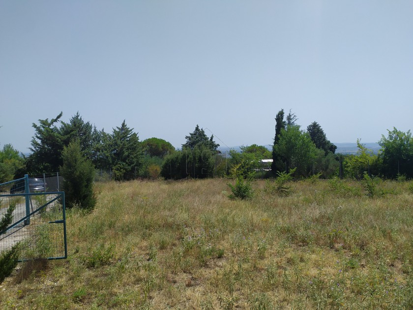 Αγροτεμάχια 1.250 τ.μ. για πώληση