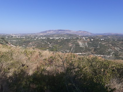 Land plot 2.000sqm for sale-Heraclion Cretes » Voutes