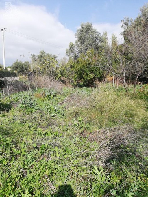 Οικόπεδο 820τ.μ. για πώληση-Κηφισιά » Κάτω κηφισιά