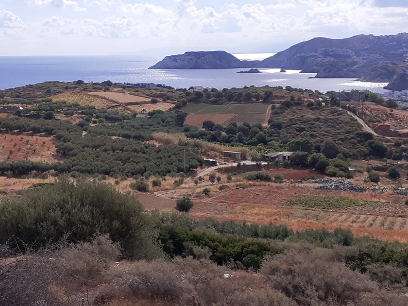 Land plot 6.500 sqm for sale