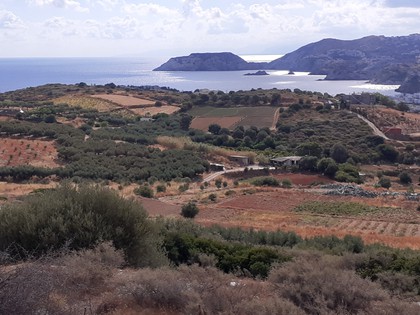 Land plot 6.500sqm for sale-Gazi » Agia Pelagia