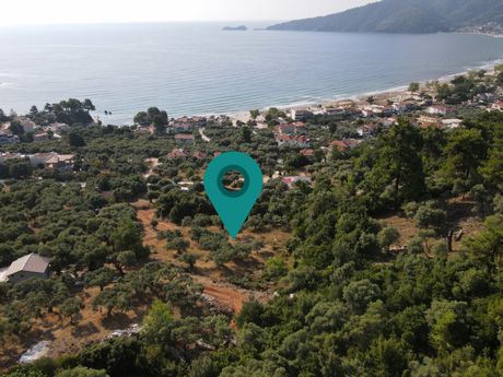 Αγροτεμάχια 1.479τ.μ. για πώληση-Θάσος » Χρυσή αμμουδιά