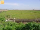 Parcel 8.257sqm for sale-Agios Athanasios » Agchialos