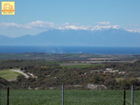 Αγροτεμάχια 5.576τ.μ. για πώληση-Τριγλία » Πετράλωνα