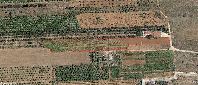 Οικόπεδο 4.108τ.μ. για πώληση-Μιδέα » Παναρίτης