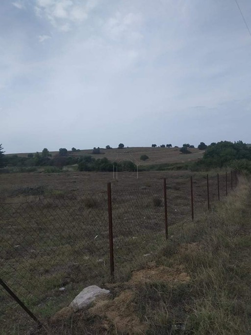 Αγροτεμάχια 4.000 τ.μ. για πώληση