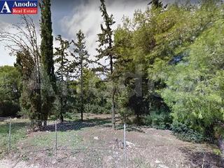 Οικόπεδο 2.890 τ.μ. πρός πώληση