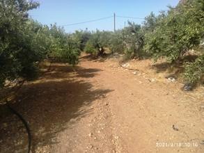 Αγροτεμάχια 3.750 τ.μ. για πώληση