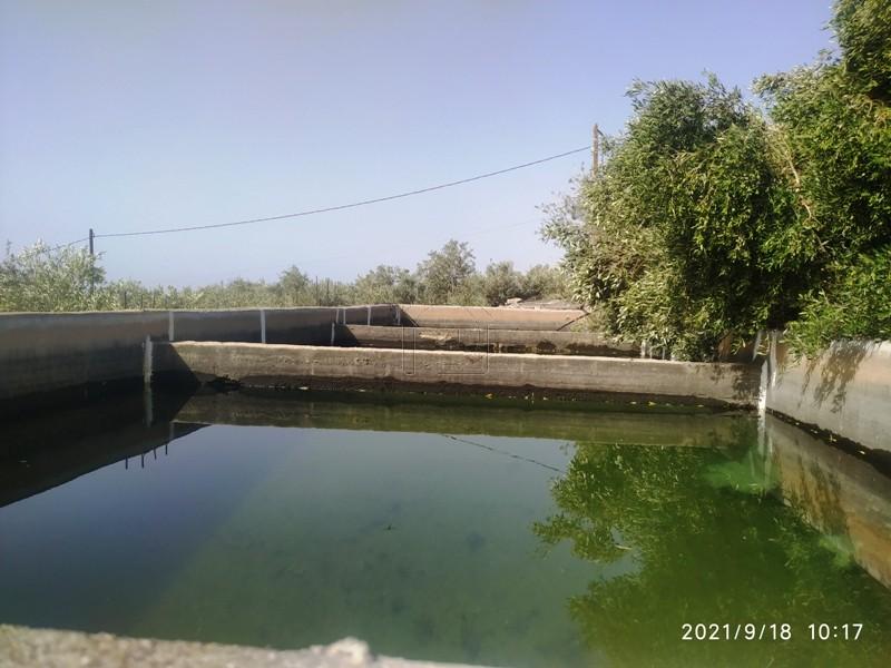 Αγροτεμάχια 3.750 τ.μ. πρός πώληση, Ν. Λασιθίου, Ιεράπετρα