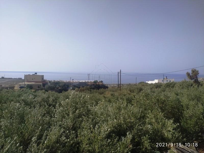 Αγροτεμάχια 3.750 τ.μ. πρός πώληση, Ν. Λασιθίου, Ιεράπετρα