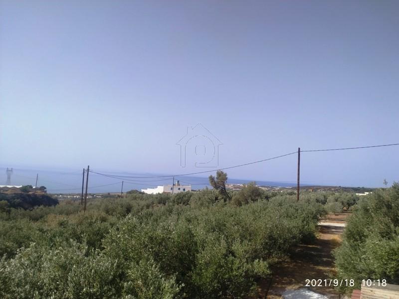 Αγροτεμάχια 3.750 τ.μ. πρός πώληση, Ν. Λασιθίου, Ιεράπετρα