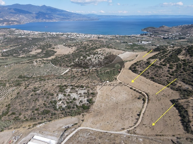 Parcel 38.550sqm for sale-Volos » Nees Pagases