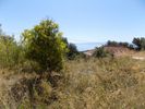 Parcel 2.968sqm for sale-Kefalonia » Eleioi-Pronoi