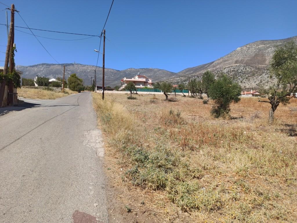 Αγροτεμάχια 8.500 τ.μ. προς πώληση, Αττική - Υπόλοιπο, Μέγαρα