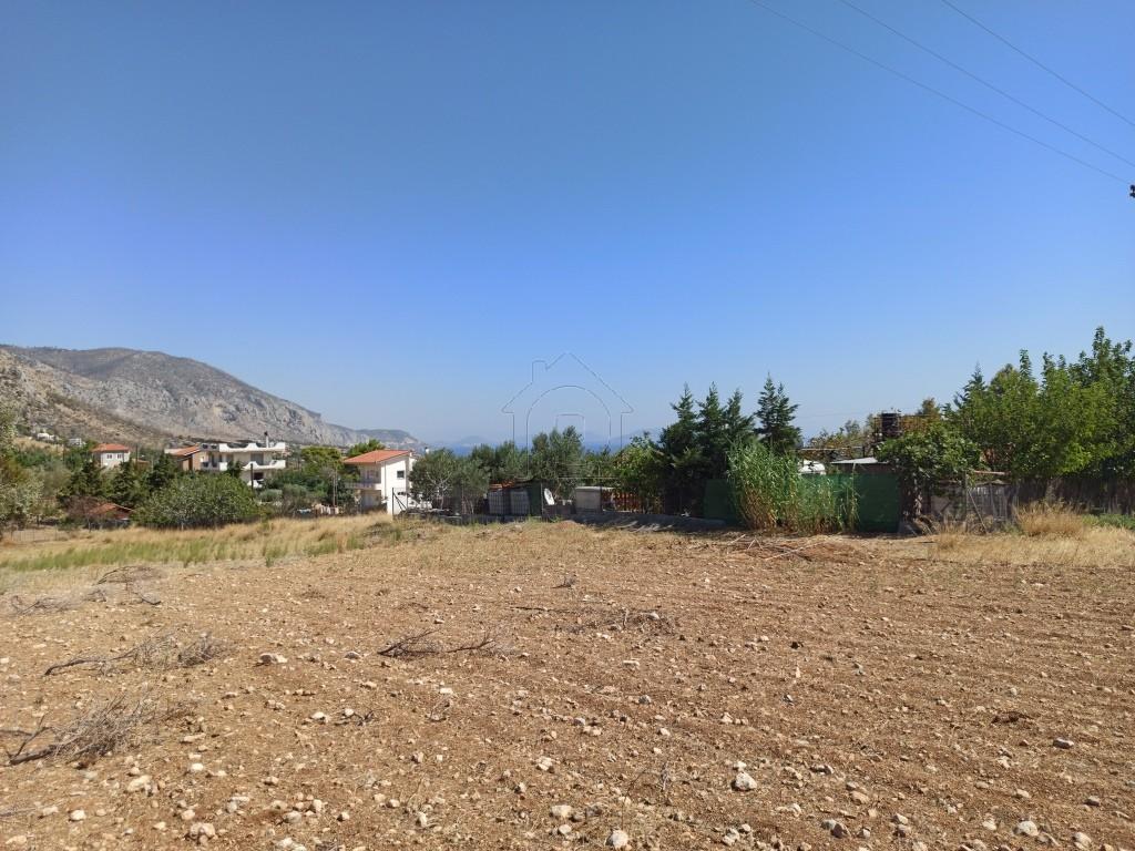 Αγροτεμάχια 8.500 τ.μ. προς πώληση, Αττική - Υπόλοιπο, Μέγαρα
