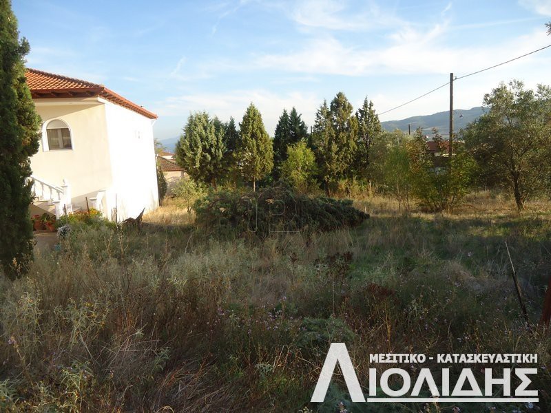 Οικόπεδο 697τ.μ. για πώληση-Μυγδονία » Δρυμός