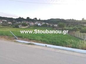 Οικόπεδο 3.964 τ.μ. για πώληση, Ν. Ηλείας, Ωλένη-thumb-1