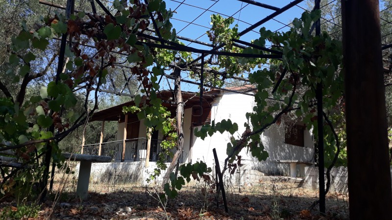 Μονοκατοικία 50τ.μ. για πώληση-Αιγιάλεια » Άλσος