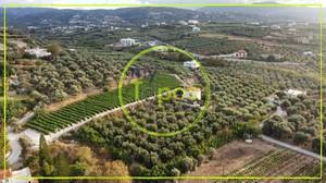 Οικόπεδο 3.000 τ.μ. για πώληση, Ν. Ρεθύμνου, Αρκάδι-thumb-8