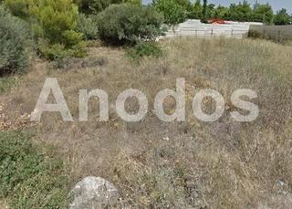 Οικόπεδο 800 τ.μ. πρός πώληση