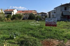Οικόπεδο 500 τ.μ. για πώληση, Ν. Ιωαννίνων, Ανατολή-thumb-16