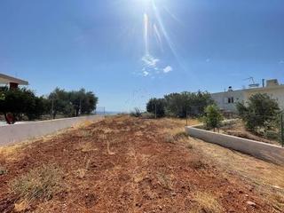Οικόπεδο 450 τ.μ. προς πώληση, Ν. Λασιθίου, Μακρύς Γιαλός-thumb-3