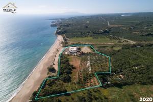 Οικόπεδο 19.268 τ.μ. για πώληση, Μεσσηνία, Γαργαλιάνοι-thumb-1