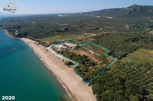 Οικόπεδο 19.268 τ.μ. για πώληση, Μεσσηνία, Γαργαλιάνοι-thumb-2