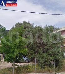 Οικόπεδο 1.800 τ.μ. για πώληση
