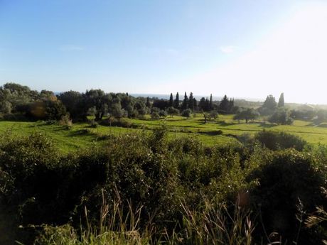 Parcel 9.004sqm for sale-Kefalonia » Argostoli