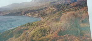 Αγροτεμάχια 124.000τ.μ. για πώληση-Σάμος » Μαραθόκαμπος