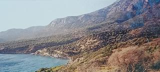 Αγροτεμάχια 124.000 τ.μ. για πώληση, Ν. Σάμου, Σάμος-thumb-2